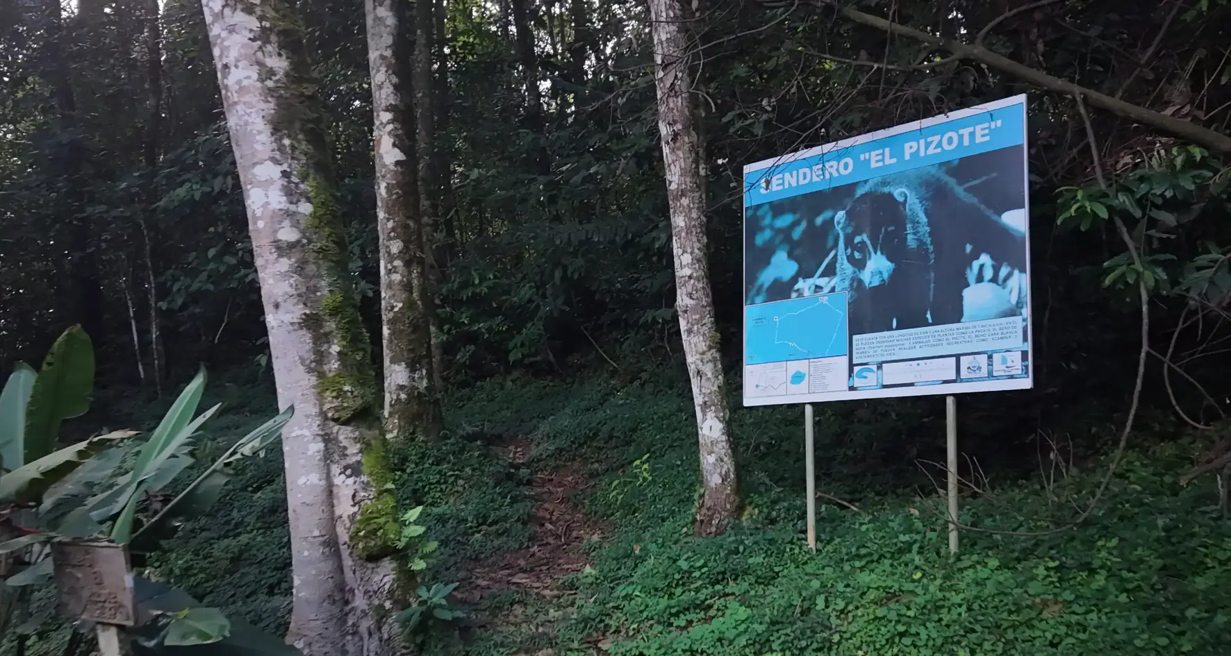 Senderos que conectan vida, agua y montaña