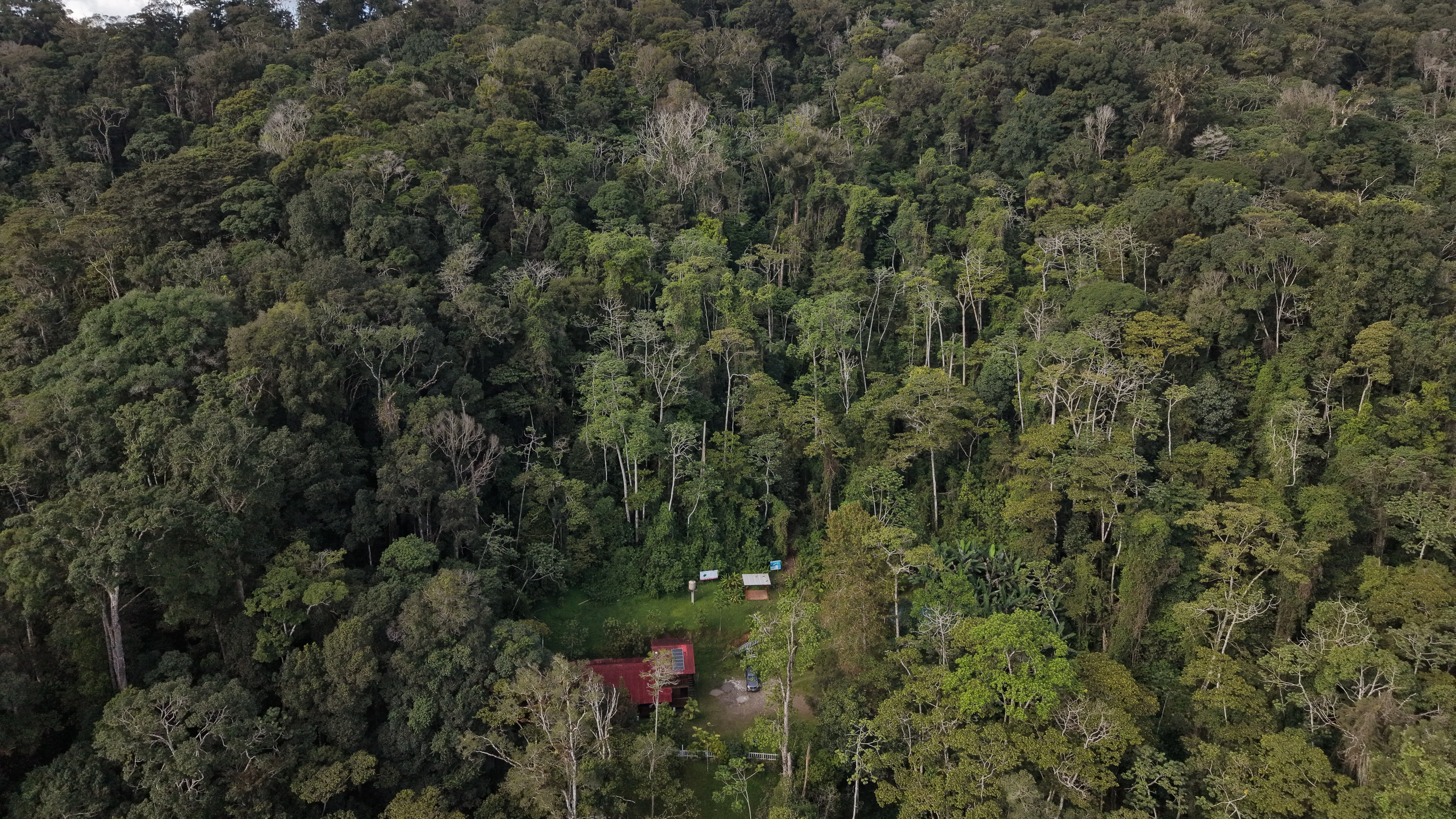 La Muralla, un refugio que protege uno de los bosques nublados más ricos de Honduras